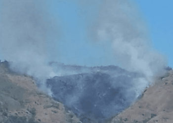 Incêndio atinge Parque da Pedra Branca