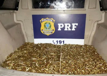 POLICIA FEDERAL APREENDE FUZIS E MUITAS MUNIÇÕES NA RIO – SANTOS!!!