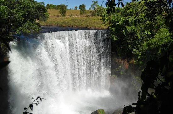 GLOBO É MULTADA POR INVADIR RESERVA