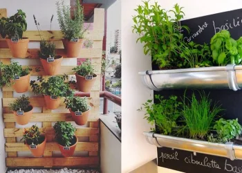 7 ideias de como fazer a sua própria horta em casa