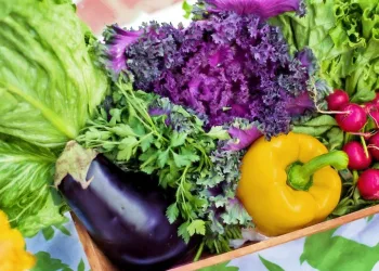 FEIRA MULTICULTURAL OFERECE OPÇÕES VEGANAS E VEGETARIANAS EM CAMPO GRANDE