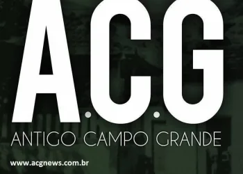 Caçarola de Berinjela