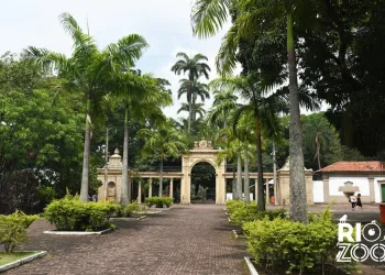 ATIVIDADES INFANTIS DE VERÃO