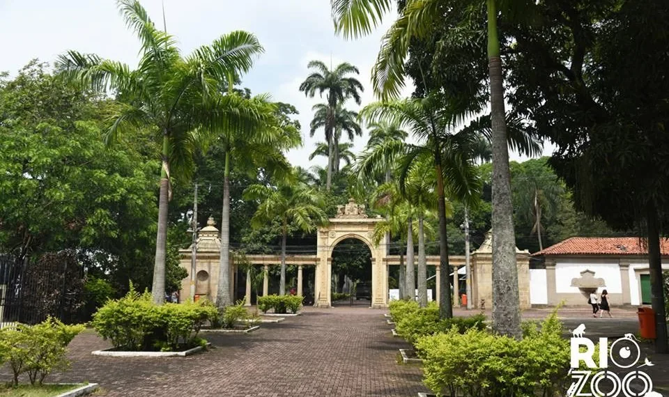 ATIVIDADES INFANTIS DE VERÃO