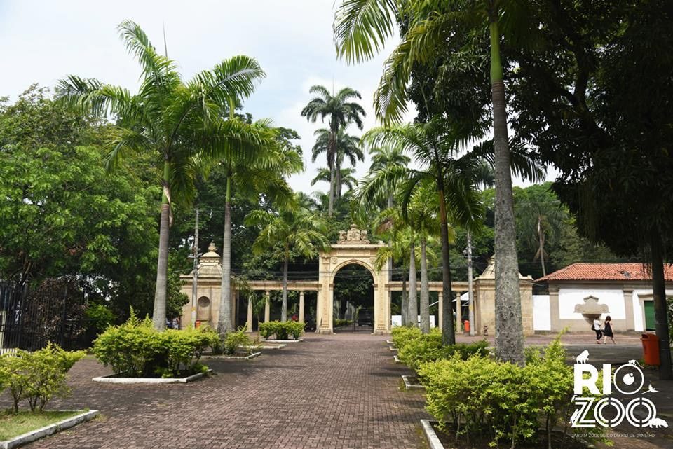 ATIVIDADES INFANTIS DE VERÃO