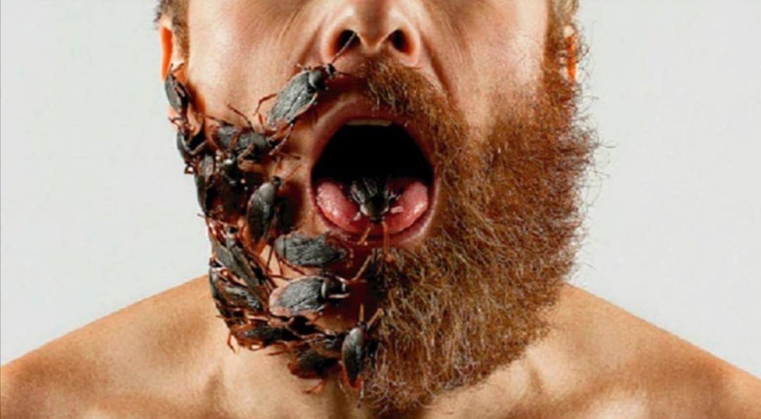 VOCÊ USA BARBA?? ACHO QUE VAI MUDAR DE IDEIA AO LER ISSO…