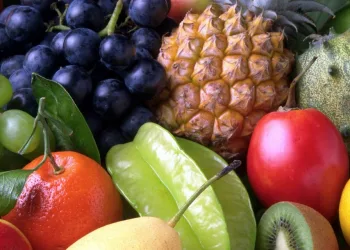 TÁ ROLANDO A FEIRA ORGÂNICA