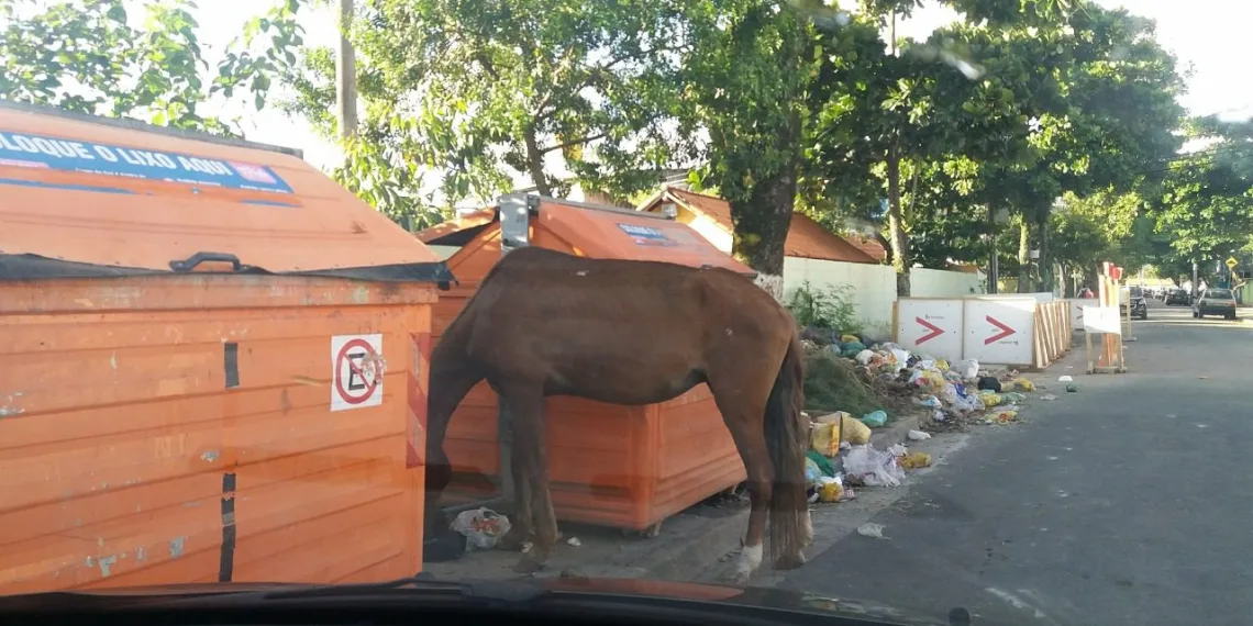 DENÚNCIA! Isso é um absurdo!