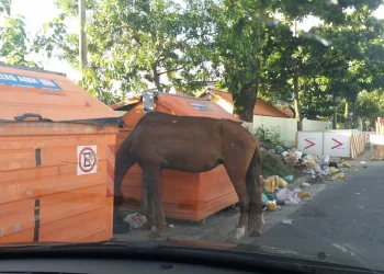DENÚNCIA! Isso é um absurdo!