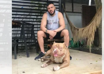 CANTOR É ATACADO POR PIT BULL E CANCELA SHOWS!!!