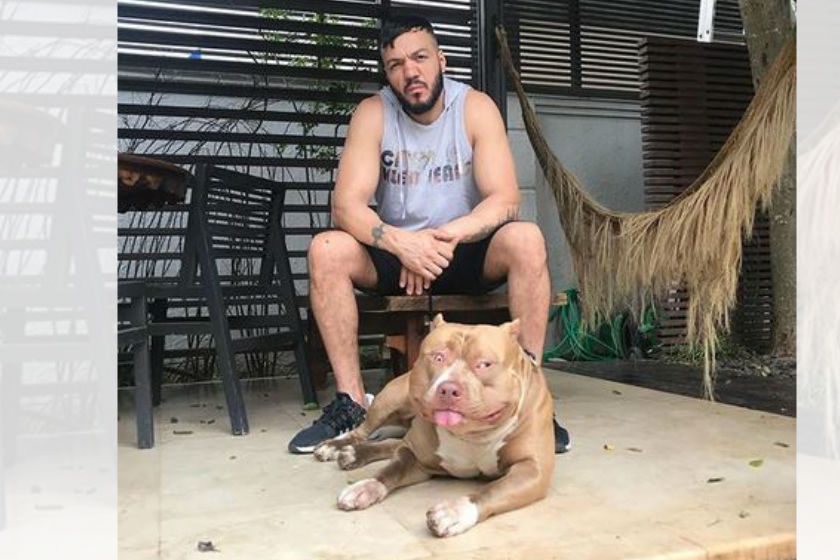 CANTOR É ATACADO POR PIT BULL E CANCELA SHOWS!!!