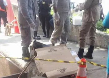 Corpo de bebê recém-nascido é encontrado em lixeira no Ceasa, Zona Norte do Rio