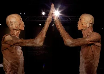 EXPOSIÇÃO SOBRE O CORPO HUMANO CHEGA AO PARK SHOPPING CAMPO GRANDE NESTE SÁBADO