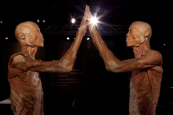EXPOSIÇÃO SOBRE O CORPO HUMANO CHEGA AO PARK SHOPPING CAMPO GRANDE NESTE SÁBADO
