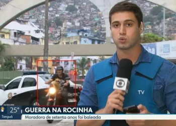 Gato de óculos escuros chama atenção em passagem da Rede Globo