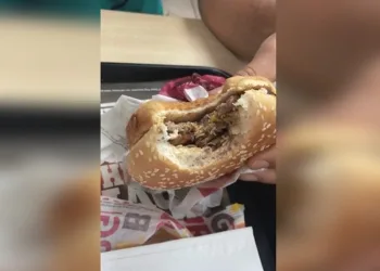 Larvas no Burger King: nutricionistas suspeitam de sabotagem