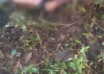 HOMICÍDIO NA SERRINHA [fotos]