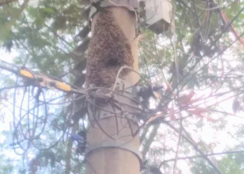 MORADOR DE CAMPO GRANDE INCOMFORMADO COM O DESCASO COM UMA COISA SIMPLES DAS AUTORIDADES RESOLVEREM(FOTOS)