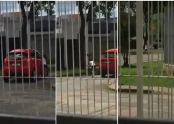 Forte demais!!! Menina é filmada implorando para a mãe não deixá-la sozinha na rua