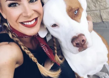 Cachorro morre e mulher faz alerta assustador sobre motivo