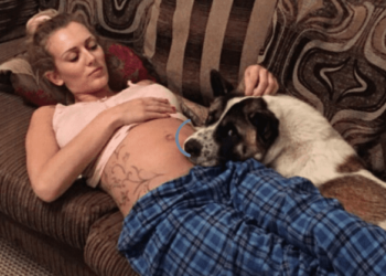 Sua cadela gemia diante de sua barriga de grávida. Ela teve uma triste notícia quando procurou o medico…