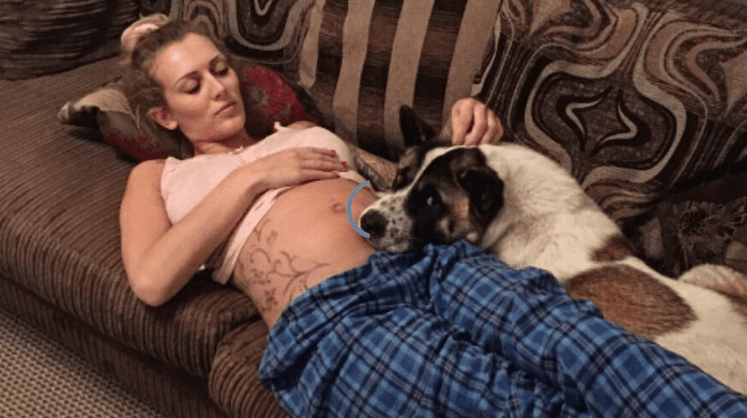 Sua cadela gemia diante de sua barriga de grávida. Ela teve uma triste notícia quando procurou o medico…