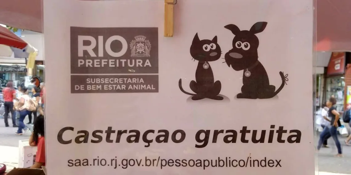 OLHA QUE LEGAL!!! SERVIÇO GRATUITO DE CÃES E GATOS!! VEJA…