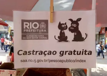 OLHA QUE LEGAL!!! SERVIÇO GRATUITO DE CÃES E GATOS!! VEJA…