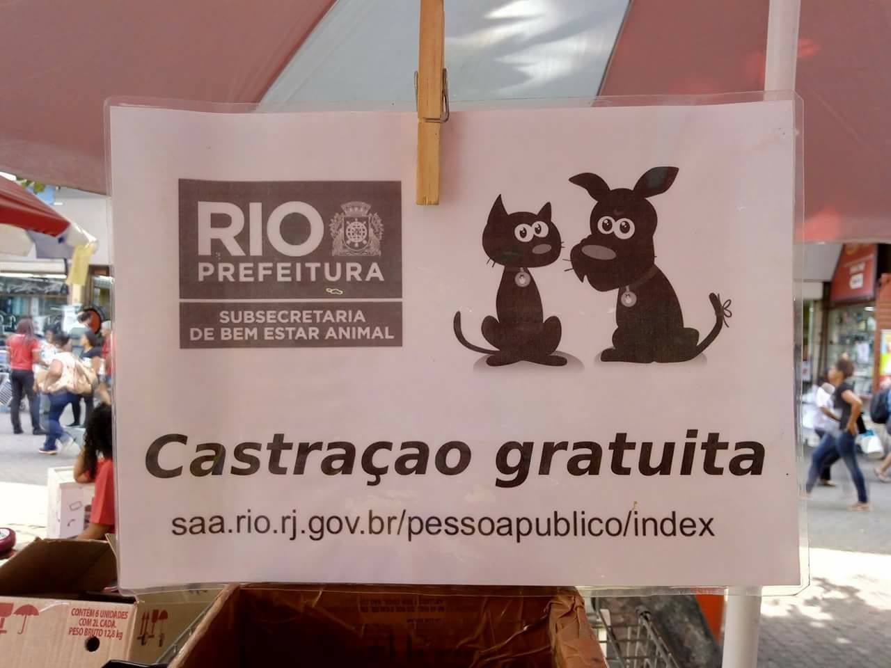 OLHA QUE LEGAL!!! SERVIÇO GRATUITO DE CÃES E GATOS!! VEJA…