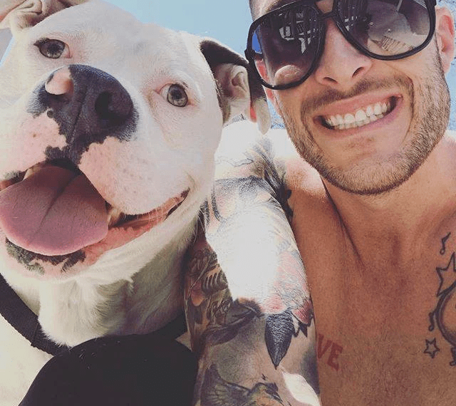 Homem publica esta foto do seu novo cão e as pessoas chamam imediatamente a polícia