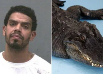Sequestrador usa jacaré para forçar vítima a implorar resgate a parente