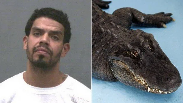 Sequestrador usa jacaré para forçar vítima a implorar resgate a parente