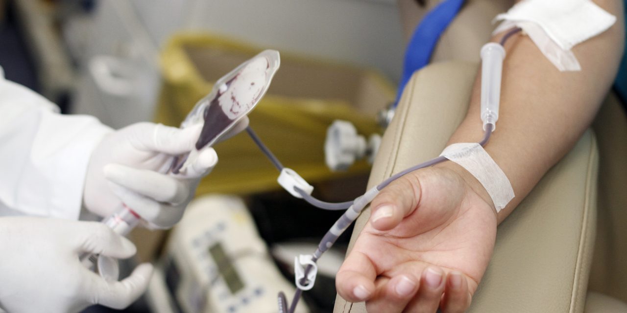 HEMORIO PROMOVE COLETA DE SANGUE NO PARK SHOPPING