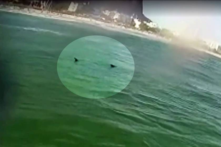 TUBARÃO ASSUSTA BANHISTAS EM PRAIA DA ZONA OESTE!!!