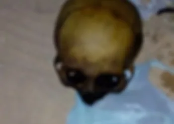 SINISTRO!!! POLICIA PRENDE LADRÃO DE OSSOS HUMANOS!!!