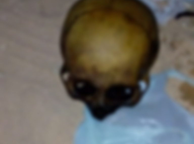 SINISTRO!!! POLICIA PRENDE LADRÃO DE OSSOS HUMANOS!!!