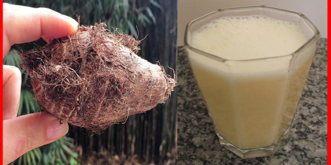 Consumir inhame ajuda engravidar, elimina menopausa e ajuda emagrecer!