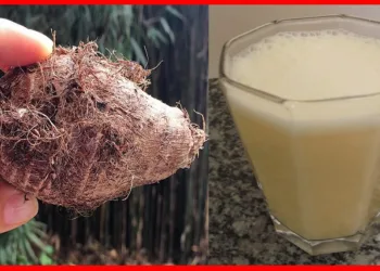 Consumir inhame ajuda engravidar, elimina menopausa e ajuda emagrecer!