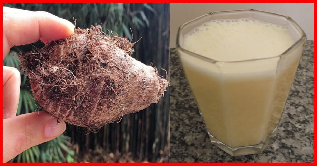 Consumir inhame ajuda engravidar, elimina menopausa e ajuda emagrecer!