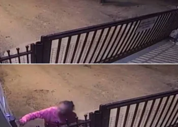 Idosa é deixada por familiares na porta de abrigo durante a noite e gesto causa revolta