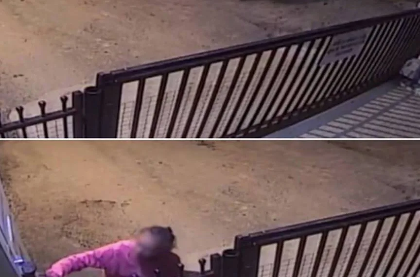 Idosa é deixada por familiares na porta de abrigo durante a noite e gesto causa revolta