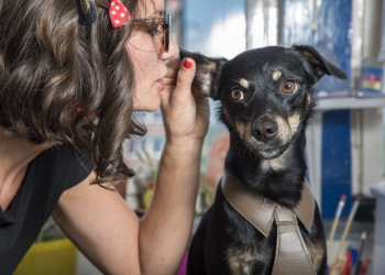 Pessoas que falam com animais são mais inteligentes que as demais
