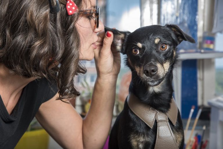 Pessoas que falam com animais são mais inteligentes que as demais