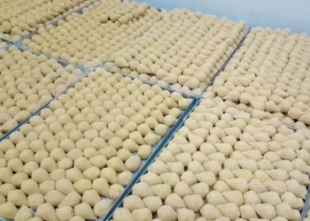 Brasileira vende coxinhas e vira empresária em Dubai
