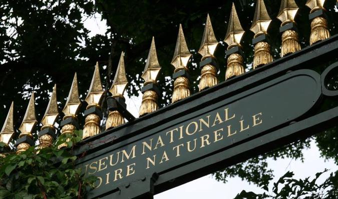 O Museu de História Natural de Paris é composto por vários museus com exibiçőes dedicadas às áreas da geologia, botânica, mineralogia, anatomia, paleontologia e zoologia.(foto: Muséum National d'Histoire Naturelle/Reproduçăo)