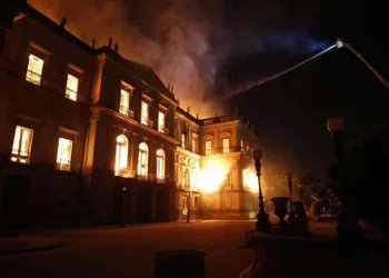 Acervo de invertebrados foi salvo, diz diretora do Museu Nacional