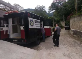 Operação resgata mais de 40 animais que sofriam maus-tratos em Campo Grande!!