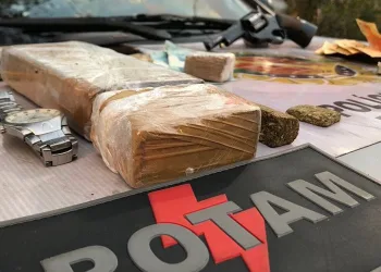 Três pessoas são presas por tráfico de drogas em Ceilândia