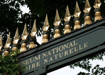 'É como a destruição do museu de Berlim na 2ª Guerra', diz Bruno David