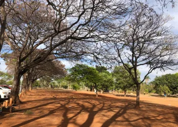 Massa de ar seco deixa Brasília com umidade relativa do ar entre 55% e 15%